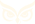 NAZR Logo